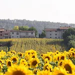 Feriegård Podere Casenove Citerna