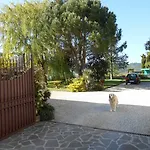 Podere Casenove Feriegård Citerna