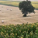 Podere Casenove ファームステイ Citerna