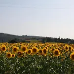 Podere Casenove ファームステイ *