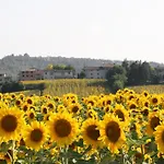 Podere Casenove