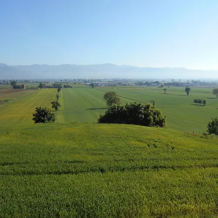 Podere Casenove Citerna