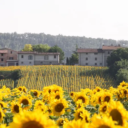 Agroturismo Podere Casenove Citerna