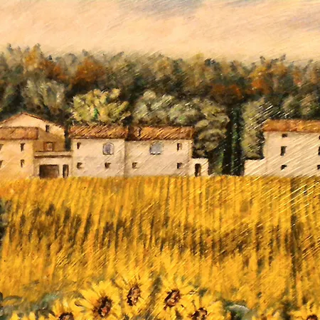 Podere Casenove *