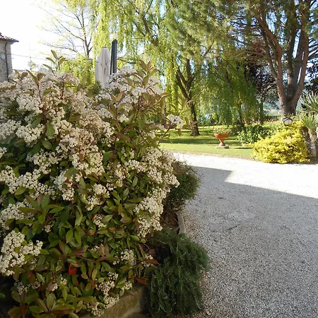 Podere Casenove Feriegård Citerna