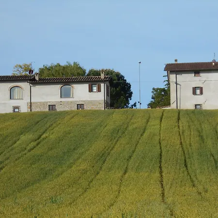 ファームステイ Podere Casenove Citerna