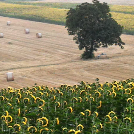 Podere Casenove Agroturismo Citerna