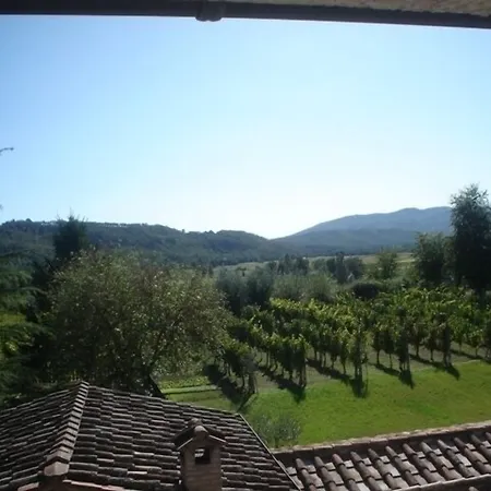 Podere Casenove * Citerna