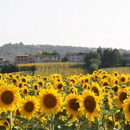 Podere Casenove