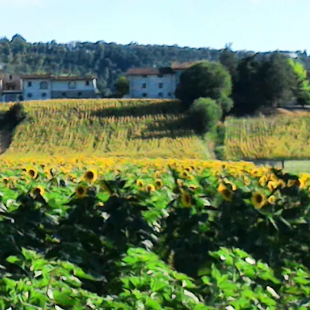Podere Casenove