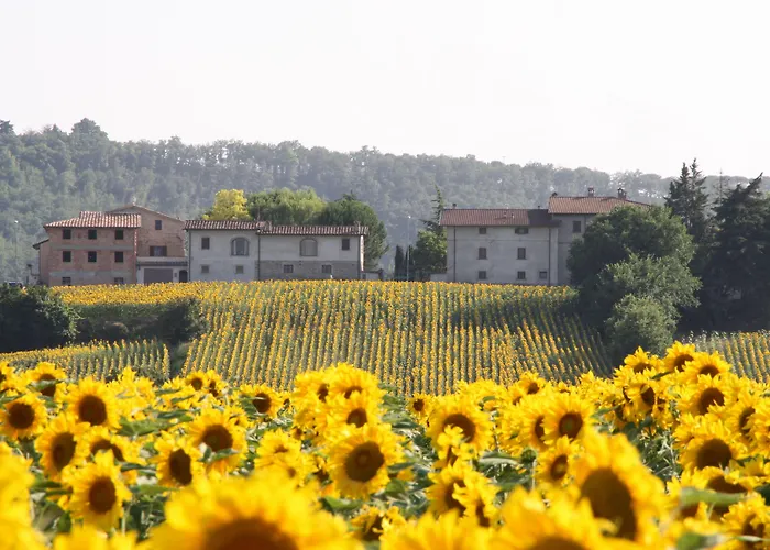 Feriegård Podere Casenove Citerna