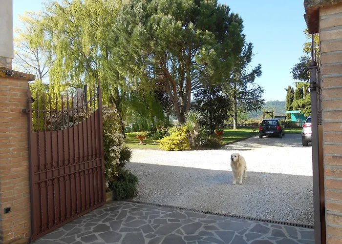 Podere Casenove Feriegård Citerna