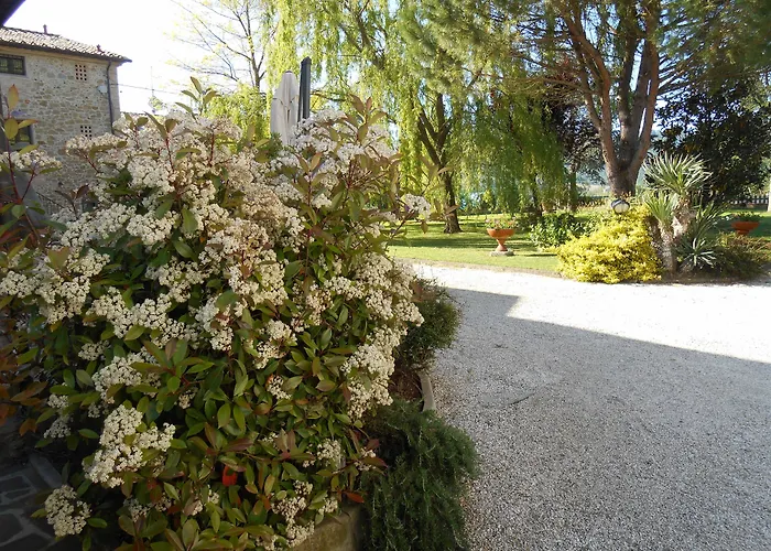 Podere Casenove Feriegård Citerna