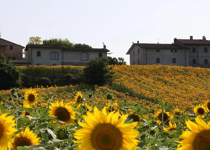 Feriegård Podere Casenove *