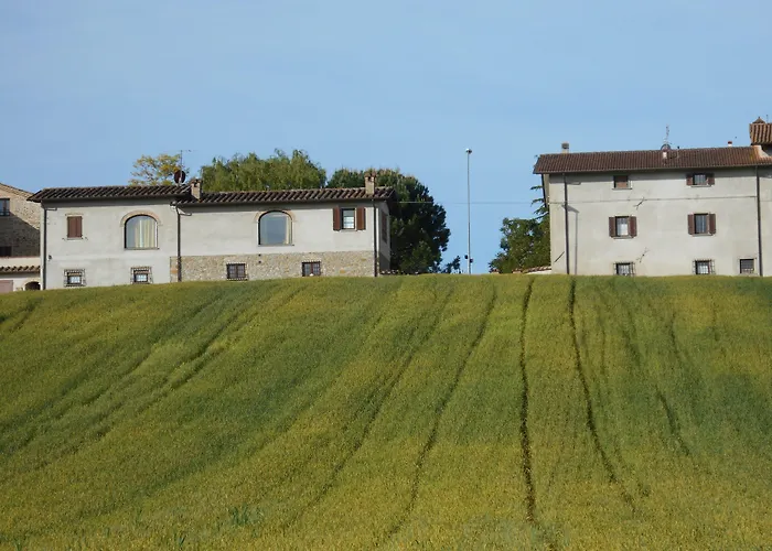 Feriegård Podere Casenove Citerna