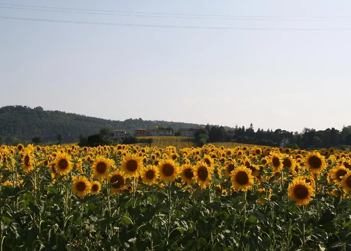 Podere Casenove Feriegård *